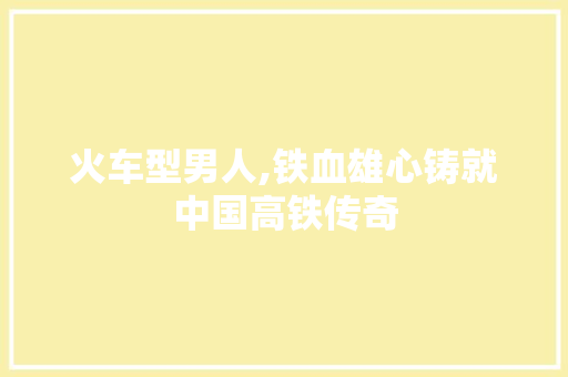 火车型男人,铁血雄心铸就中国高铁传奇