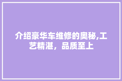 介绍豪华车维修的奥秘,工艺精湛，品质至上 车灯配件