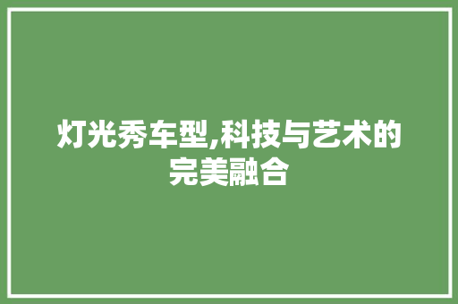 灯光秀车型,科技与艺术的完美融合