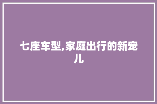 七座车型,家庭出行的新宠儿