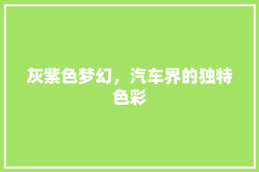 灰紫色梦幻，汽车界的独特色彩