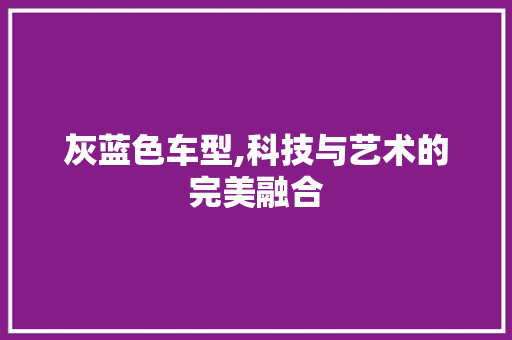 灰蓝色车型,科技与艺术的完美融合