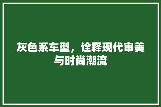 灰色系车型，诠释现代审美与时尚潮流