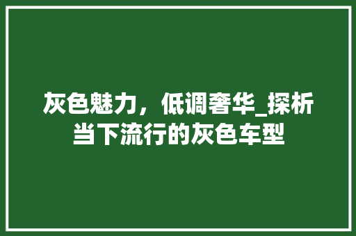 灰色魅力，低调奢华_探析当下流行的灰色车型