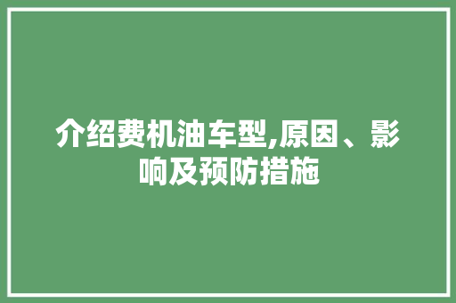 介绍费机油车型,原因、影响及预防措施