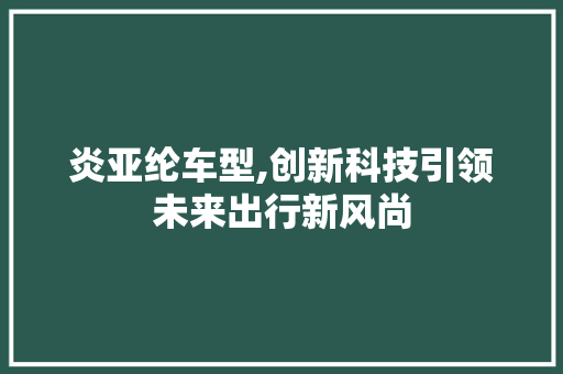 炎亚纶车型,创新科技引领未来出行新风尚