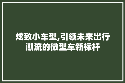 炫致小车型,引领未来出行潮流的微型车新标杆