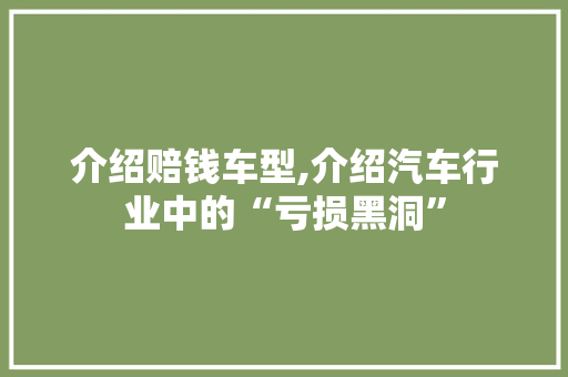 介绍赔钱车型,介绍汽车行业中的“亏损黑洞”
