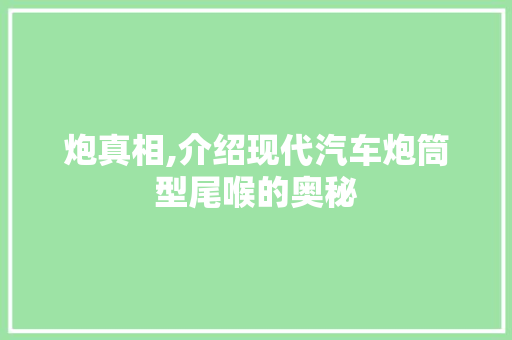 炮真相,介绍现代汽车炮筒型尾喉的奥秘