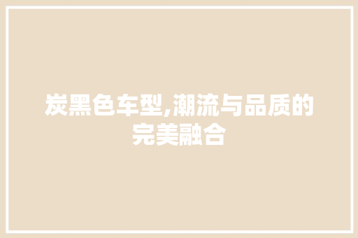 炭黑色车型,潮流与品质的完美融合