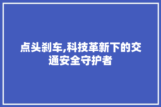 点头刹车,科技革新下的交通安全守护者