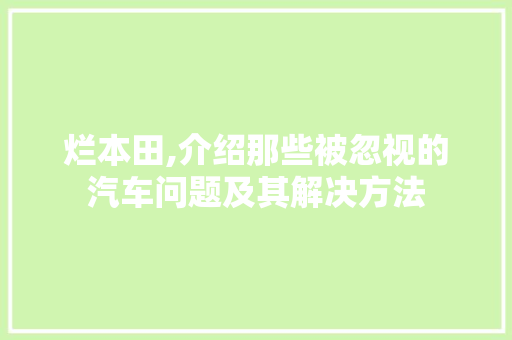 烂本田,介绍那些被忽视的汽车问题及其解决方法