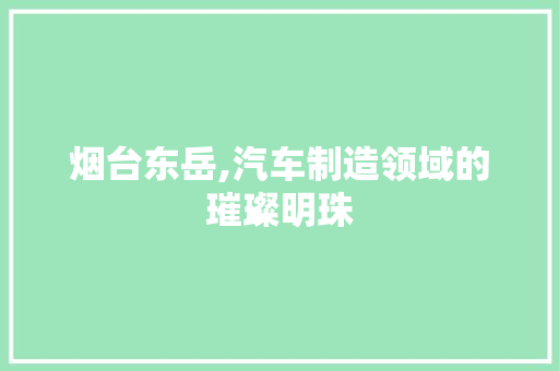 烟台东岳,汽车制造领域的璀璨明珠