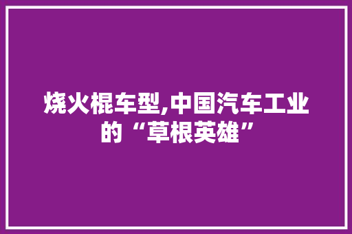 烧火棍车型,中国汽车工业的“草根英雄”