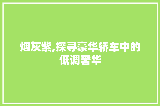 烟灰紫,探寻豪华轿车中的低调奢华
