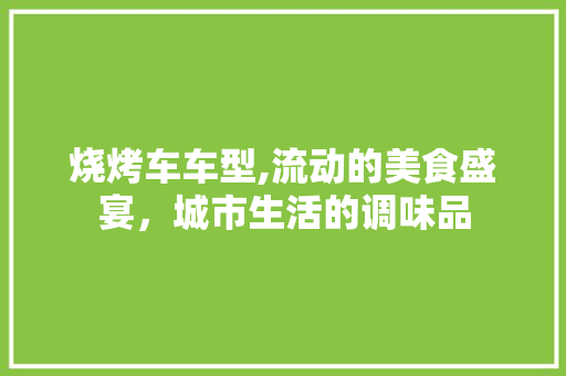 烧烤车车型,流动的美食盛宴，城市生活的调味品