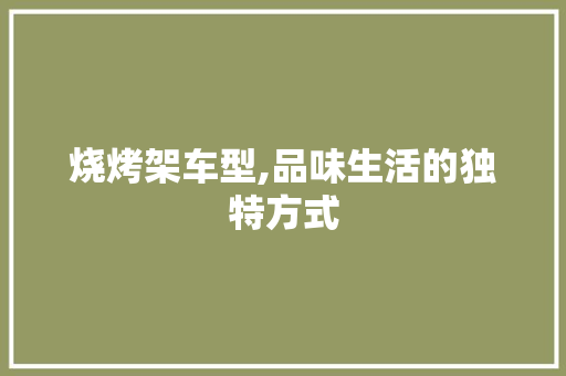 烧烤架车型,品味生活的独特方式