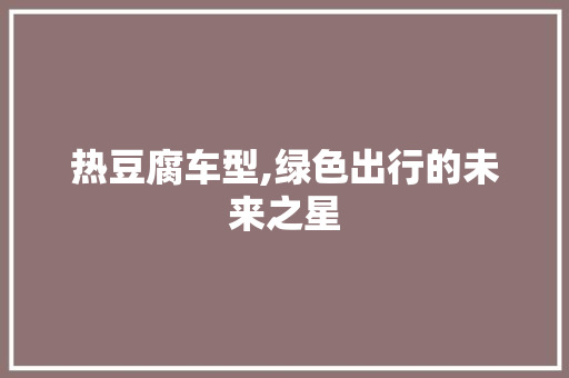 热豆腐车型,绿色出行的未来之星
