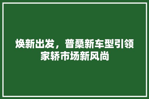 焕新出发，普桑新车型引领家轿市场新风尚