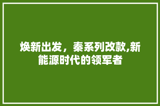 焕新出发，秦系列改款,新能源时代的领军者