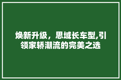 焕新升级，思域长车型,引领家轿潮流的完美之选