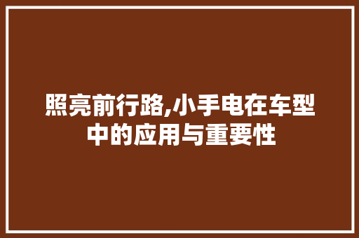 照亮前行路,小手电在车型中的应用与重要性