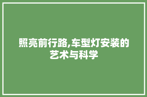 照亮前行路,车型灯安装的艺术与科学