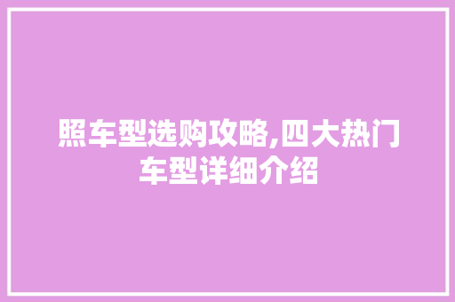 照车型选购攻略,四大热门车型详细介绍