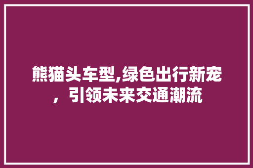 熊猫头车型,绿色出行新宠，引领未来交通潮流