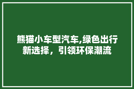 熊猫小车型汽车,绿色出行新选择，引领环保潮流