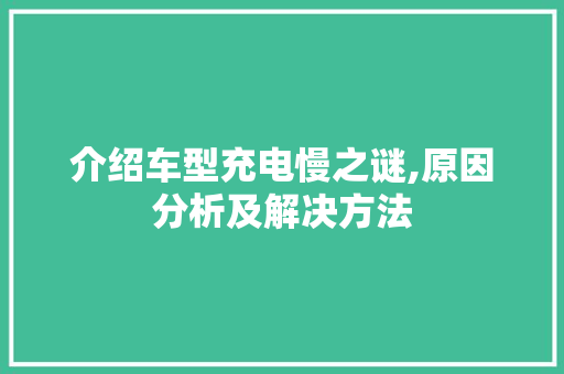 介绍车型充电慢之谜,原因分析及解决方法
