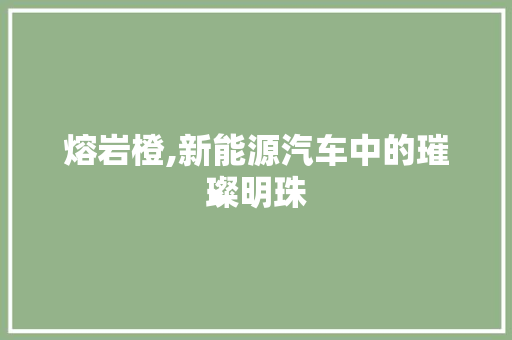 熔岩橙,新能源汽车中的璀璨明珠