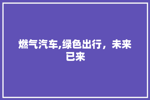 燃气汽车,绿色出行，未来已来