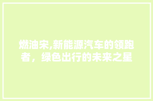 燃油宋,新能源汽车的领跑者，绿色出行的未来之星