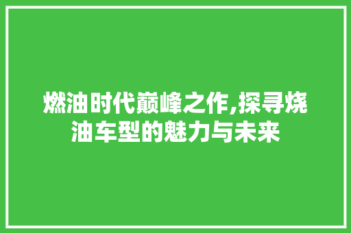 燃油时代巅峰之作,探寻烧油车型的魅力与未来