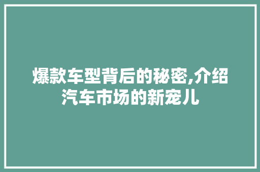 爆款车型背后的秘密,介绍汽车市场的新宠儿