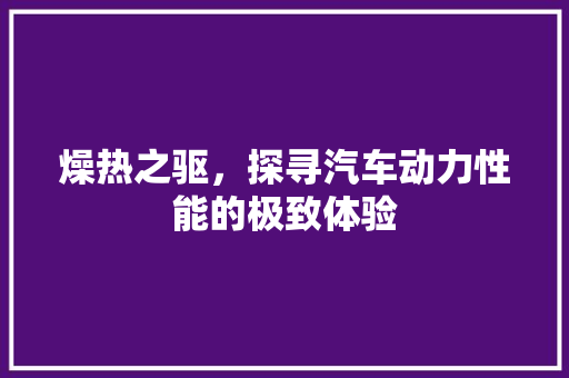 燥热之驱，探寻汽车动力性能的极致体验