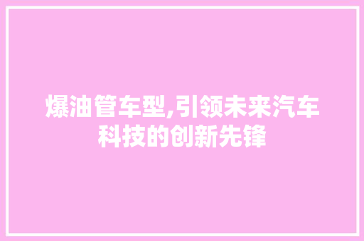 爆油管车型,引领未来汽车科技的创新先锋