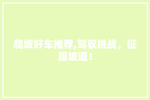 爬坡好车推荐,驾驭挑战，征服坡道！