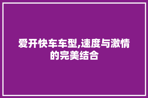 爱开快车车型,速度与激情的完美结合