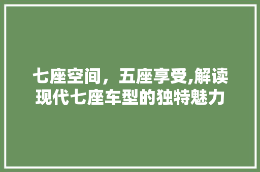 七座空间，五座享受,解读现代七座车型的独特魅力