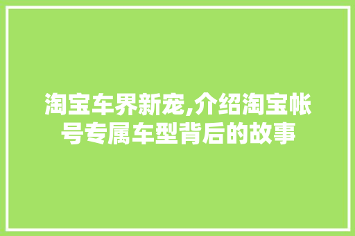 淘宝车界新宠,介绍淘宝帐号专属车型背后的故事