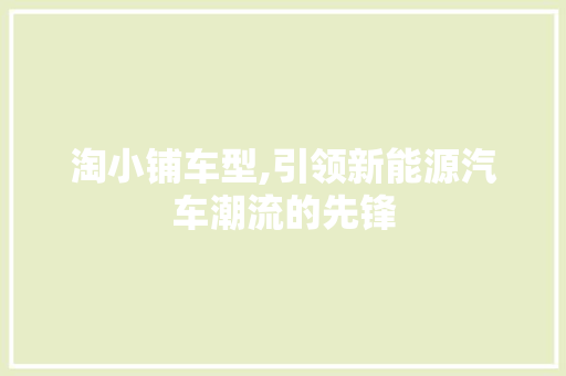 淘小铺车型,引领新能源汽车潮流的先锋