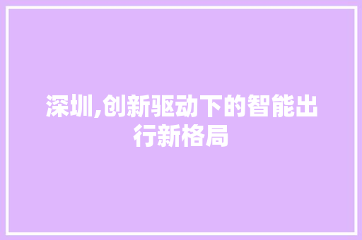 深圳,创新驱动下的智能出行新格局