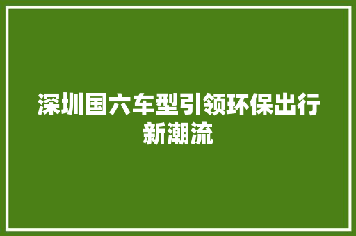深圳国六车型引领环保出行新潮流