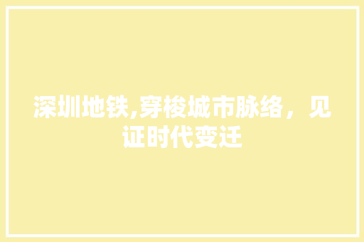 深圳地铁,穿梭城市脉络，见证时代变迁