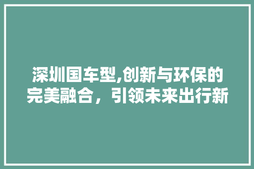 深圳国车型,创新与环保的完美融合，引领未来出行新风尚