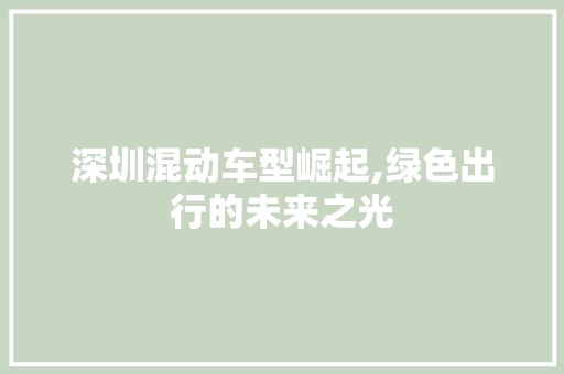 深圳混动车型崛起,绿色出行的未来之光