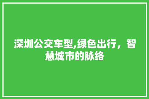 深圳公交车型,绿色出行，智慧城市的脉络