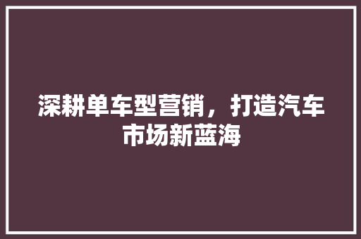 深耕单车型营销，打造汽车市场新蓝海